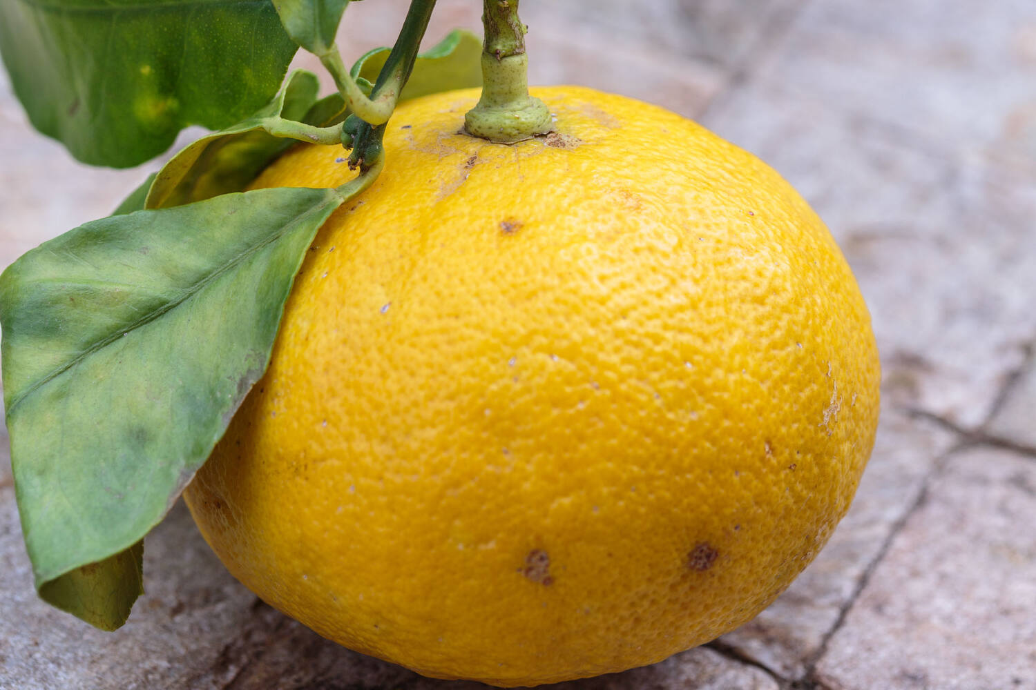 Bergamot citroenen verpakt 500gr
